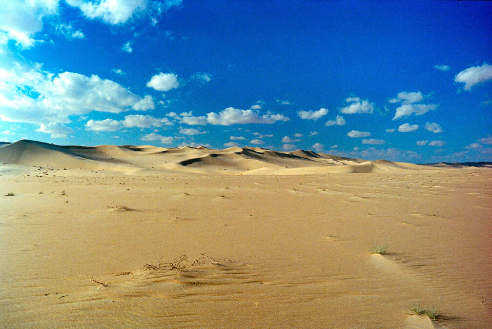 Libyen 285 Conc51 1988 Bild 083