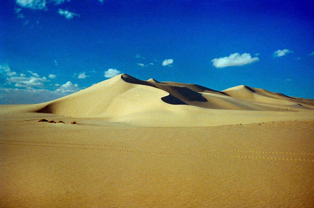 Libyen 285 Conc51 1988 Bild 084