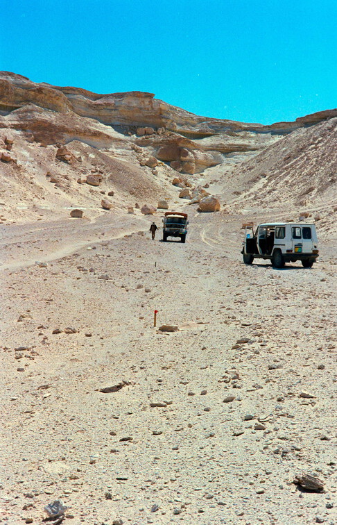 Libyen 285 Conc103 1988 Bild 041