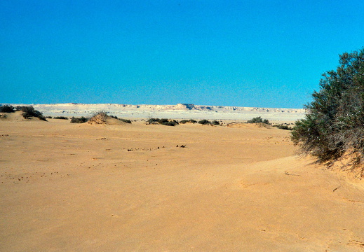 Libyen 285 Conc103 1988 Bild 068