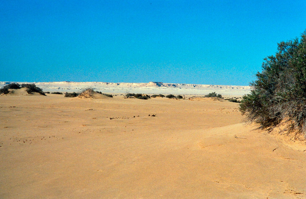 Libyen 285 Conc103 1988 Bild 068