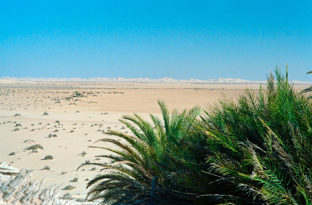 Libyen 285 Conc103 1988 Bild 071