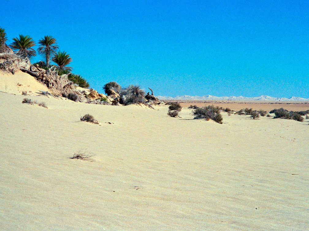 Libyen 285 Conc103 1988 Bild 072