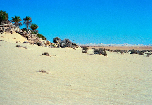 Libyen 285 Conc103 1988 Bild 072