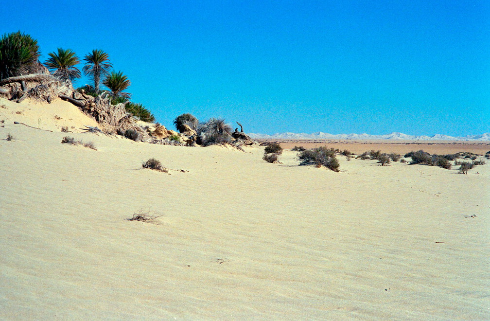 Libyen 285 Conc103 1988 Bild 072