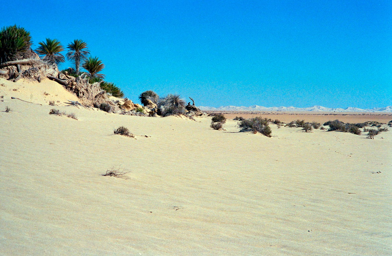Libyen_285_Conc103_1988 Bild_072.jpg