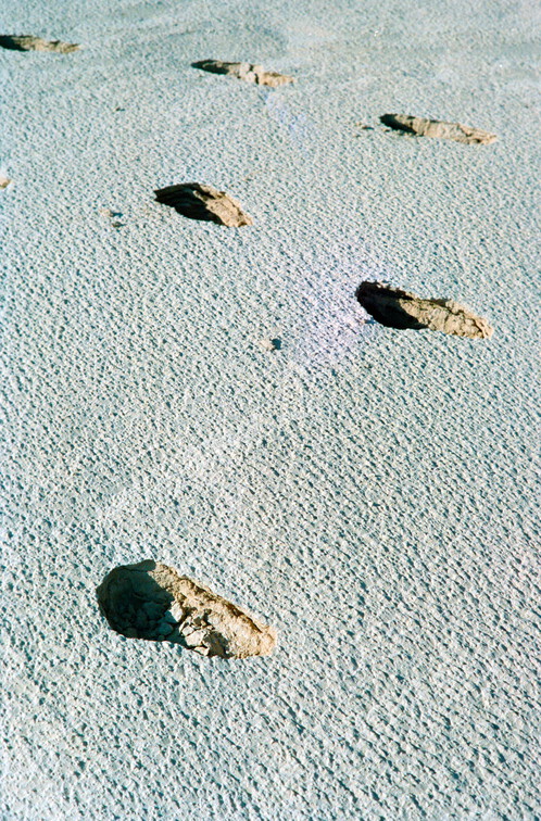 Libyen 285 Conc103 1988 Bild 074