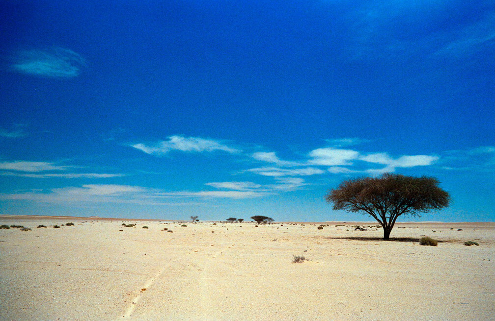 Libyen 285 Conc103 1988 Bild 079