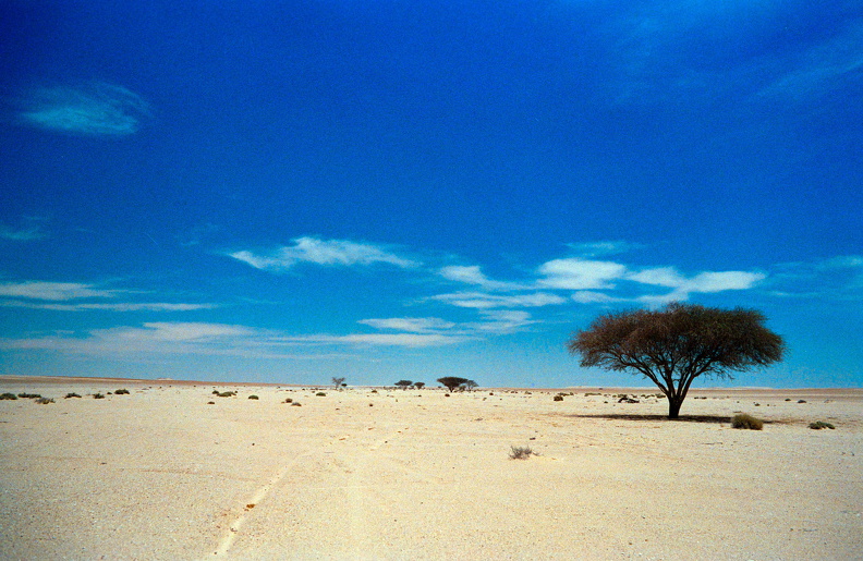 Libyen_285_Conc103_1988 Bild_079.jpg