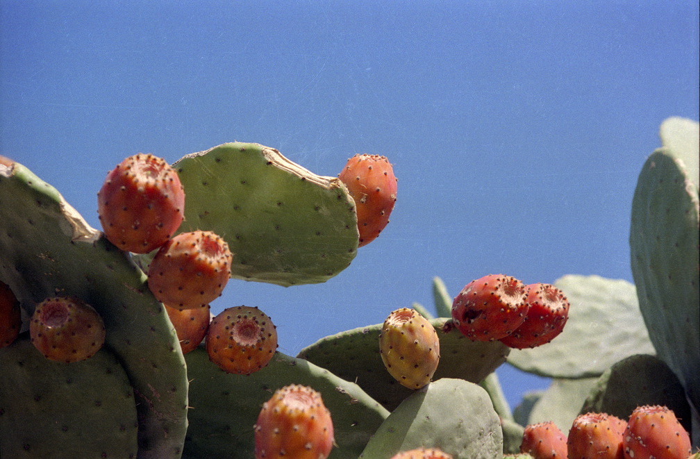 Sizilien Landschaft und K 1992  0011