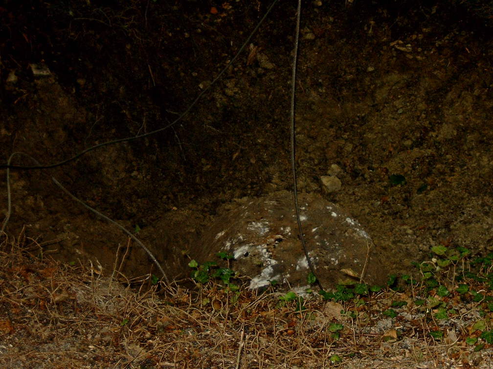 Die Kugel ist tief in den weichen Waldboden eingetrungen