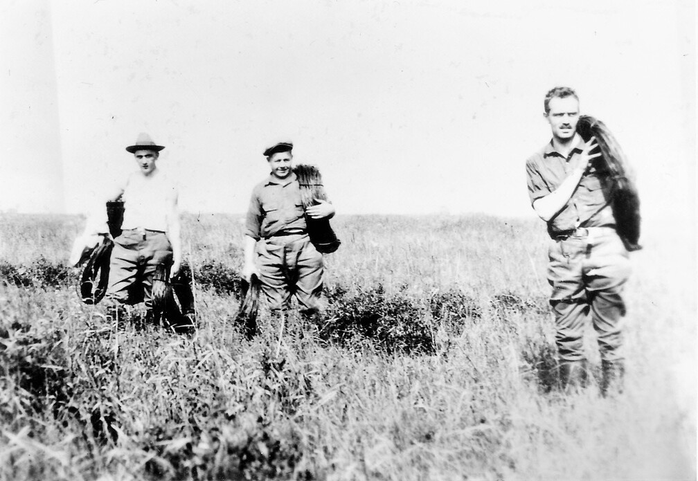 Knöppel, May, Dr. Cloos