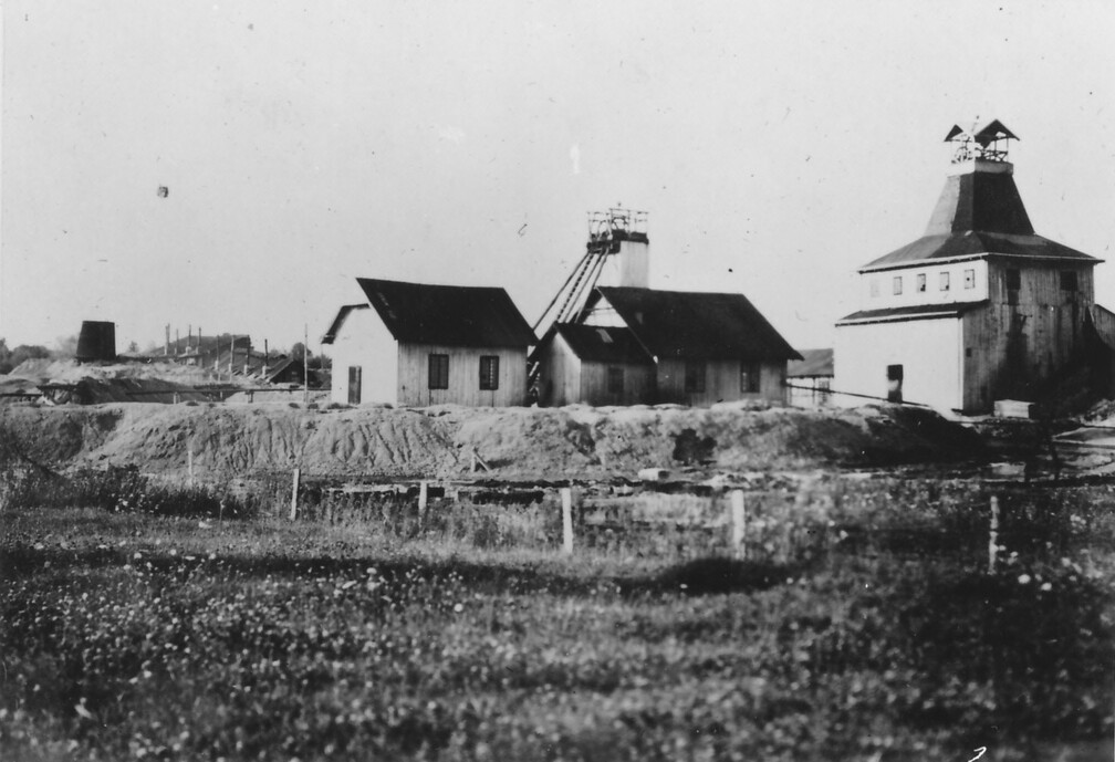 Salzgrube bei Stanislau, Dzwiniacz
