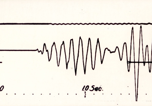 Seismogramm der Vertikal-Komponente mit Schallspur (oben), Datenspur (Mitte) und Abriß (unten).