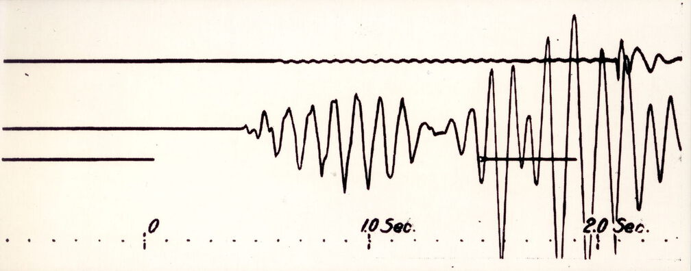Seismogramm der Vertikal-Komponente mit Schallspur (oben), Datenspur (Mitte) und Abriß (unten).