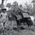Refraktionsseismik in Mexiko 1923. Zum Transport der gesamten seismischen Ausrüsung genügte ein Maultier.