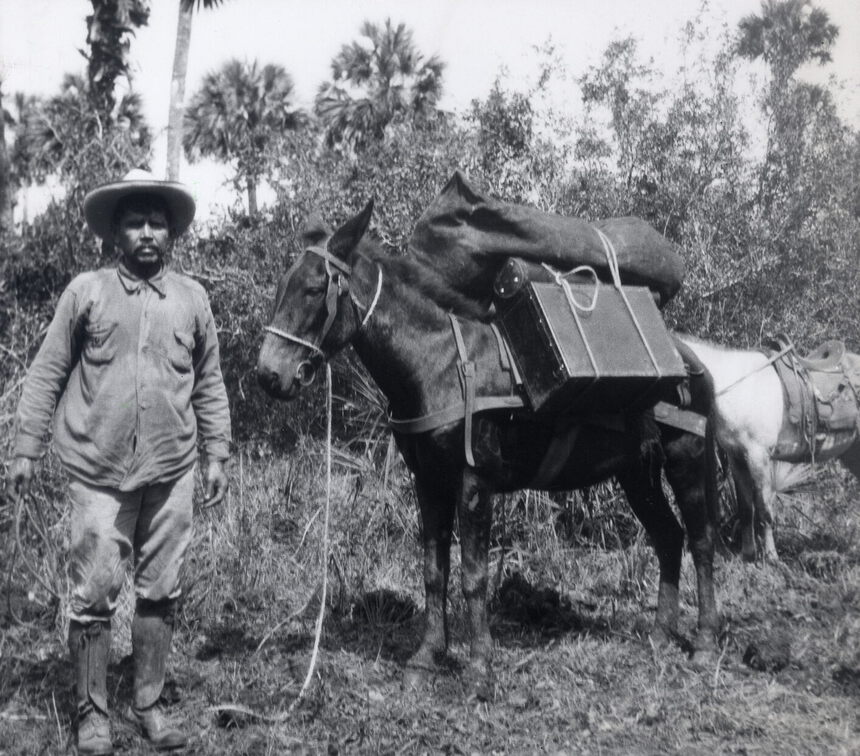 Refraktionsseismik in Mexiko 1923. Zum Transport der gesamten seismischen Ausrüsung genügte ein Maultier.
