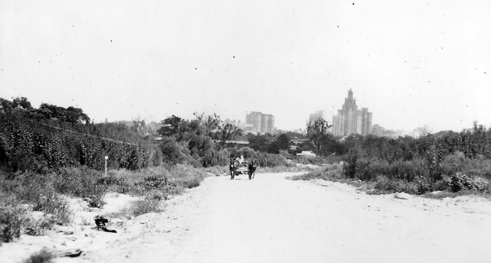 Die Skyline von Houston , links das Hotel Rice