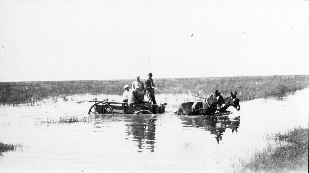 Ansonsten gibt es noch das Fuhrwerk für schwieriges Gelände.