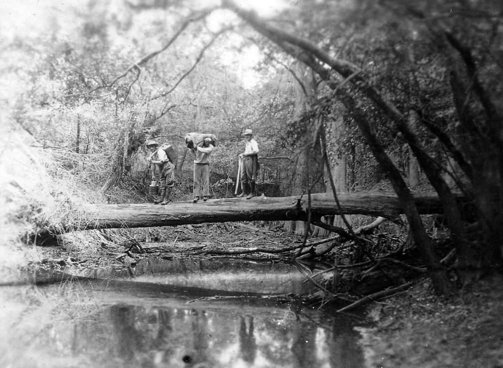 Zuletzt blieb dann noch der Fußmarsch über Stock und Stein bis zum Messpunkt.