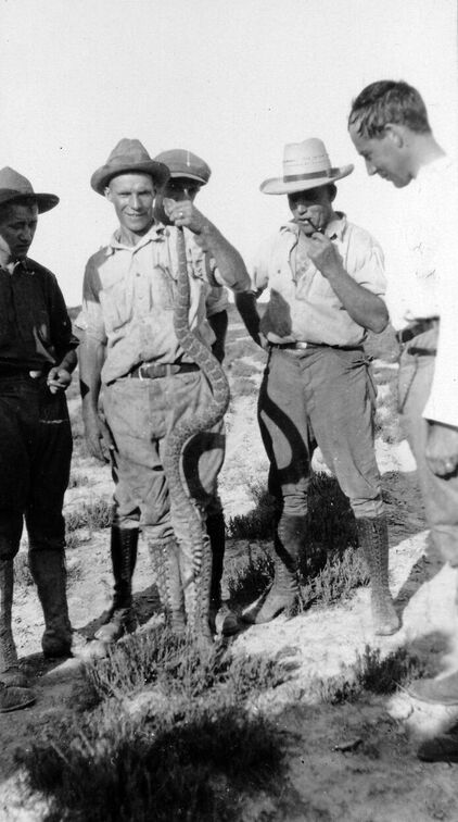 Vielleicht dient die Pistole zur Abwehr von diesen lieben Klapperschlangen oder..