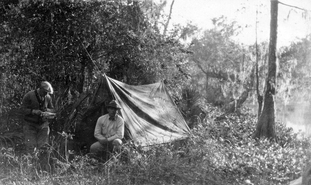 Radiozelt diesmal im Busch.