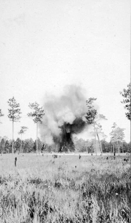Und wieder ein gelungener Schuss, der letzte für heute.