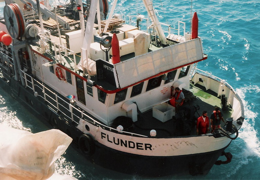 1995 Flunder