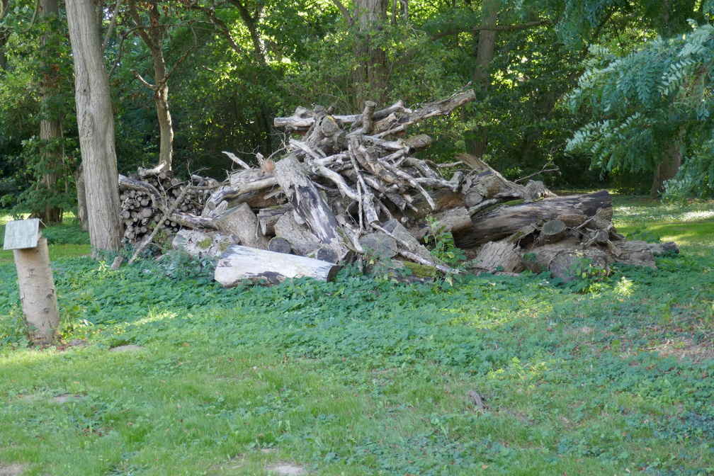 2018-09-15 09-47-45 - P1020681