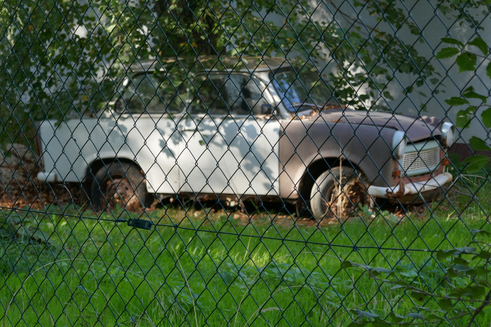 2018-09-15 09-49-43 - P1020683