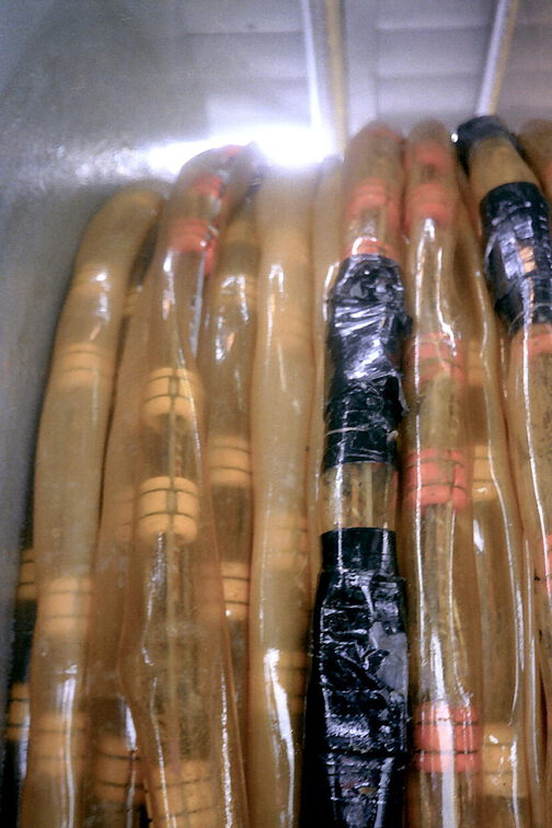 SV PROSPEKTA - Guinea Bissau 1986