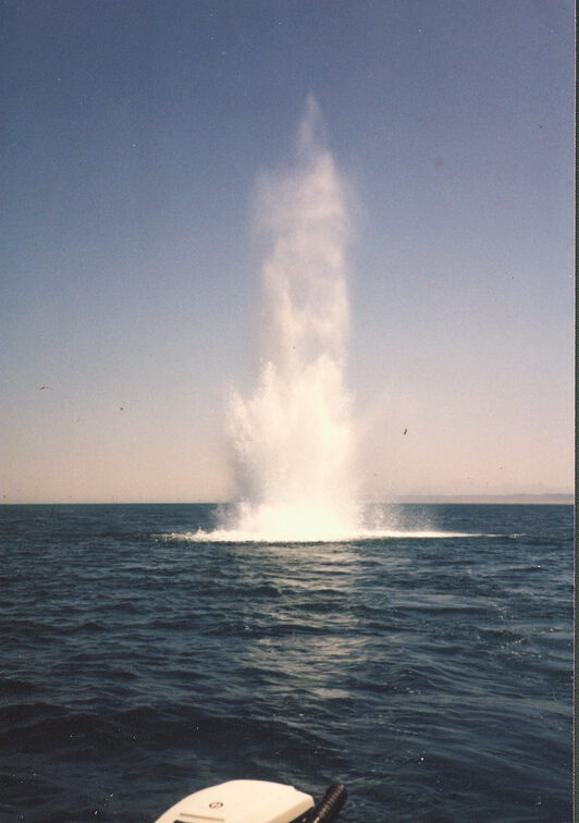 SV Manta Aegypten 1985 18