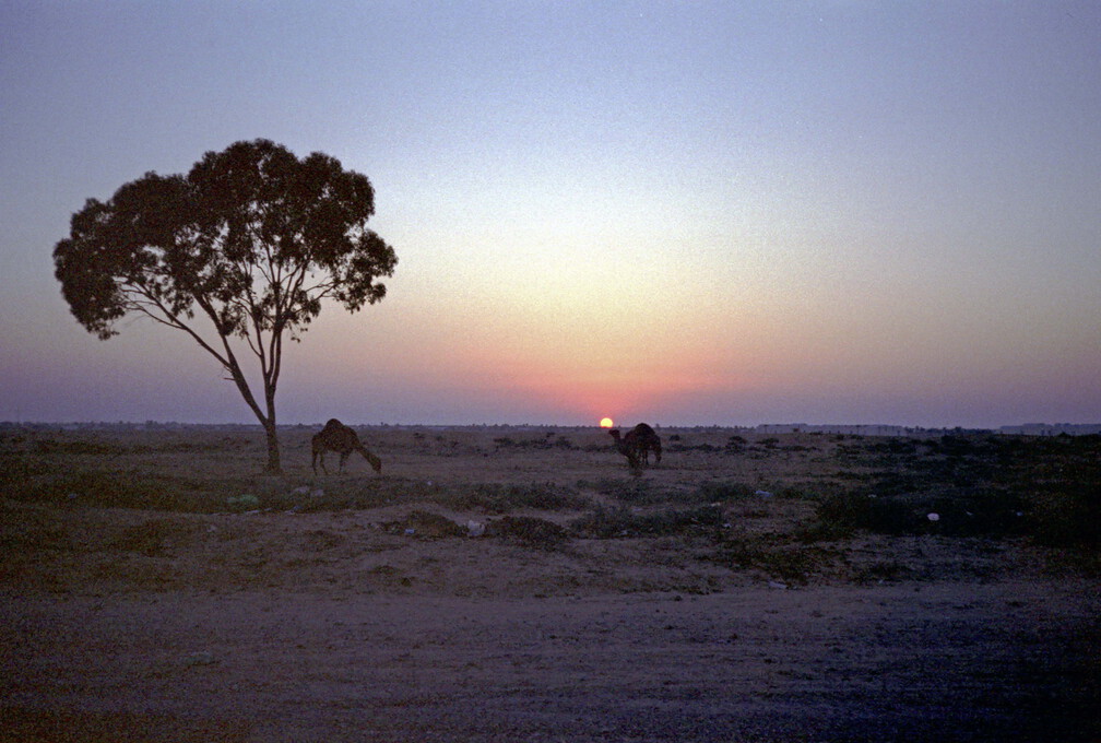 Ben Gardane05 (624 Besuche) Ben Gardane05