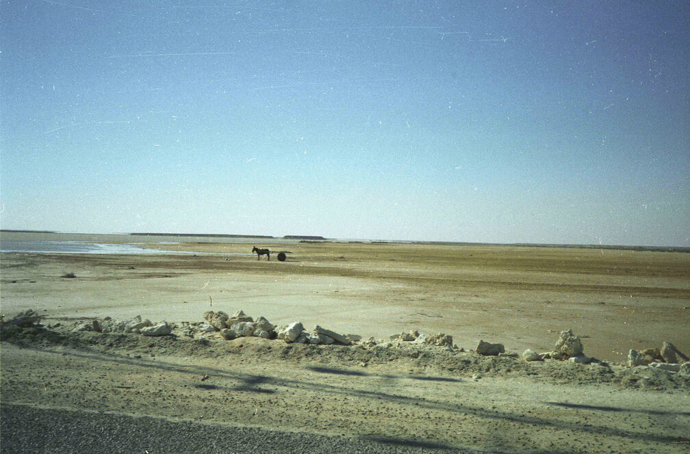 Ben Gardane08 (602 Besuche) Ben Gardane08