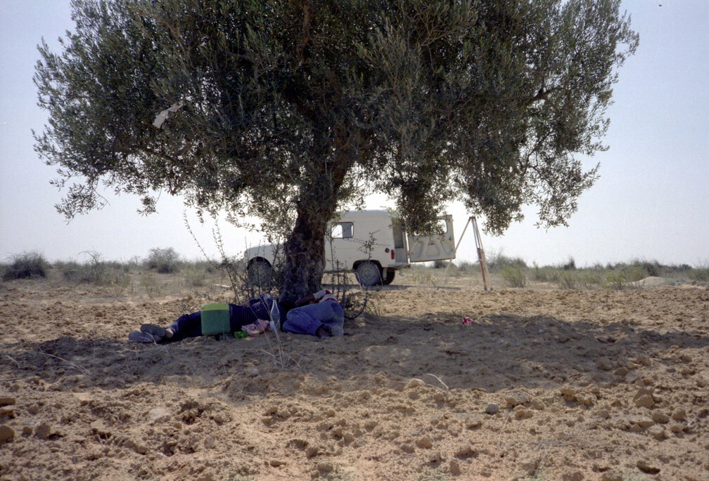 Mittagspause (625 Besuche) Mittagspause