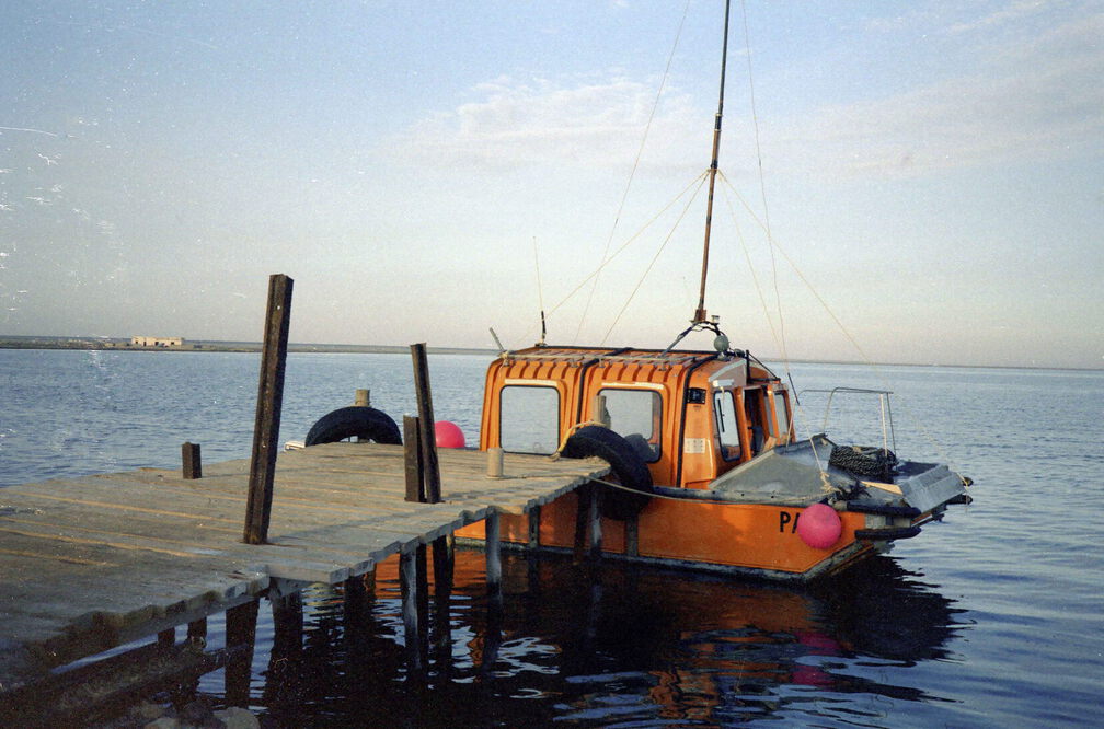 Rotork im Abendlicht (660 Besuche) Rotork im Abendlicht