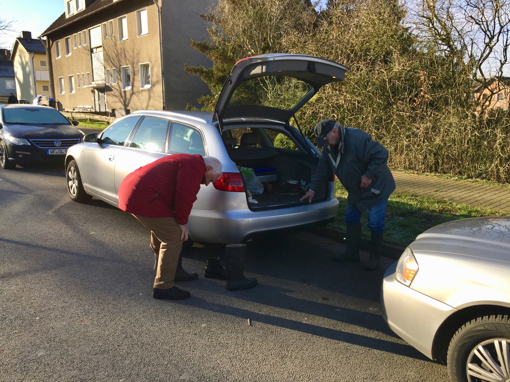 Asse II 08-02-2020 04