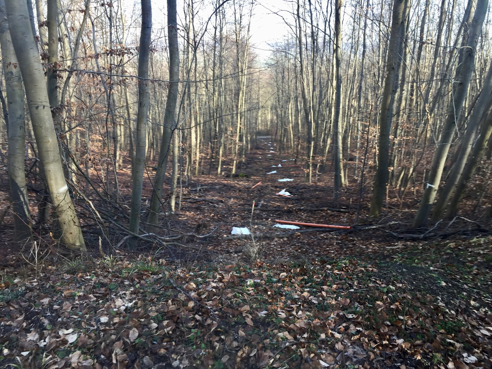 Asse II 08-02-2020 15