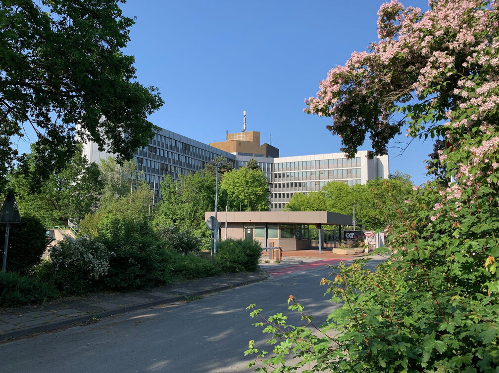 PS Buchholzer Strasse 100 905 230527
