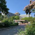 PS Buchholzer Strasse 100 905 230527