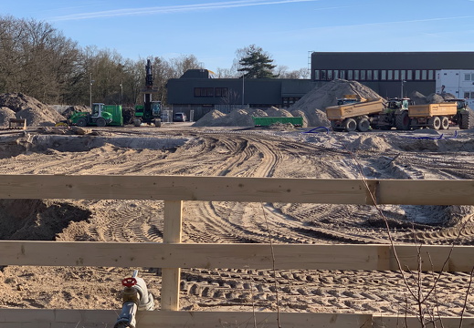 PS Buchholzer Strasse 100 06 250303