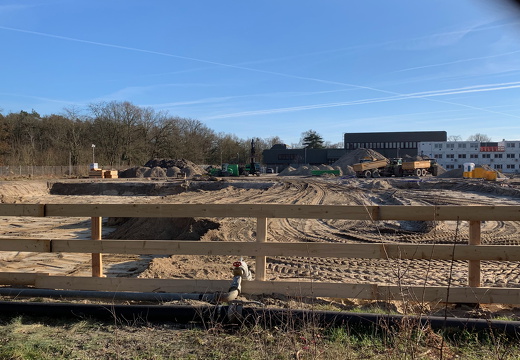 PS Buchholzer Strasse 100 07 250303