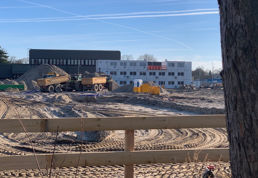 PS Buchholzer Strasse 100 11 250303