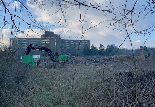 PS Buchholzer Strasse 250201 1