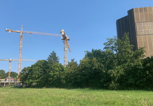 PS Buchholzer Strasse 250815 5