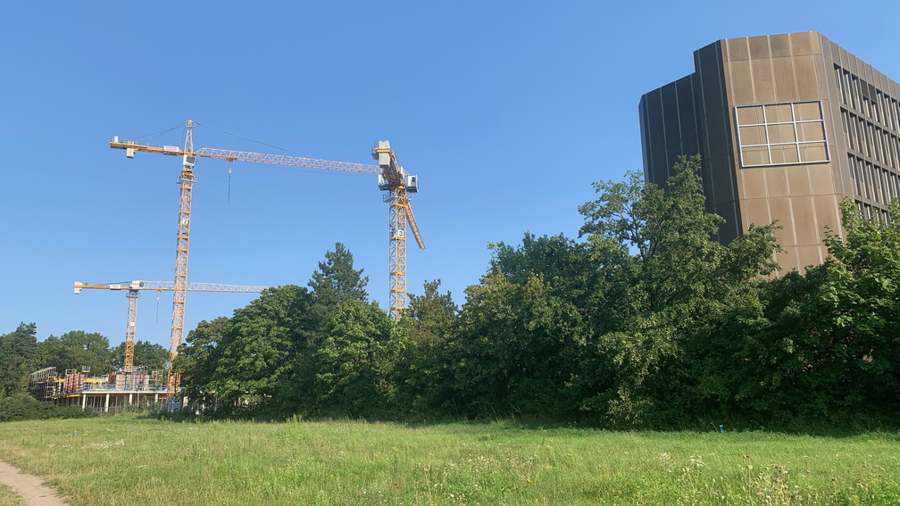 PS Buchholzer Strasse 250815 5