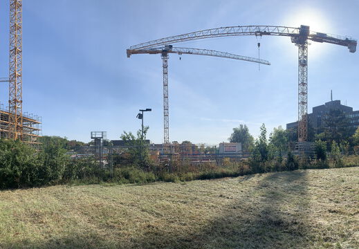 PS Buchholzer Strasse 250928 13