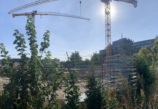 PS Buchholzer Strasse 250928 15