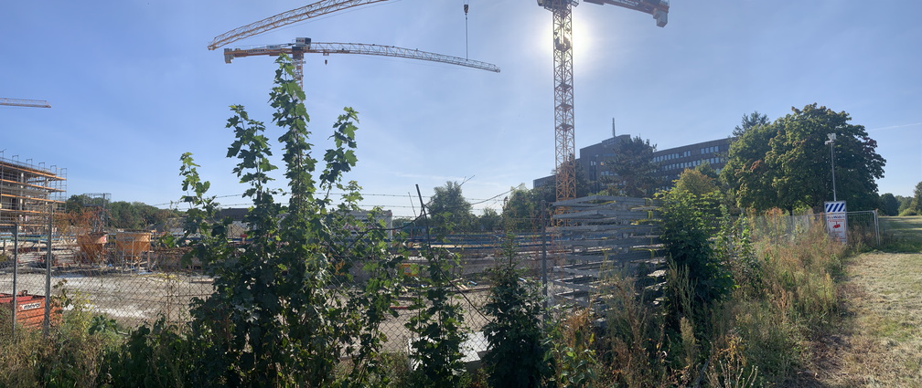 PS Buchholzer Strasse 250928 15