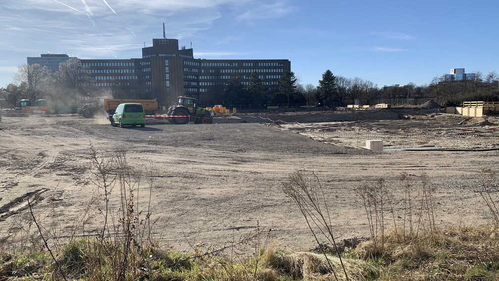 PS Buchholzer Strasse 250317 2